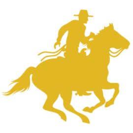 Access Venture Partners logo
