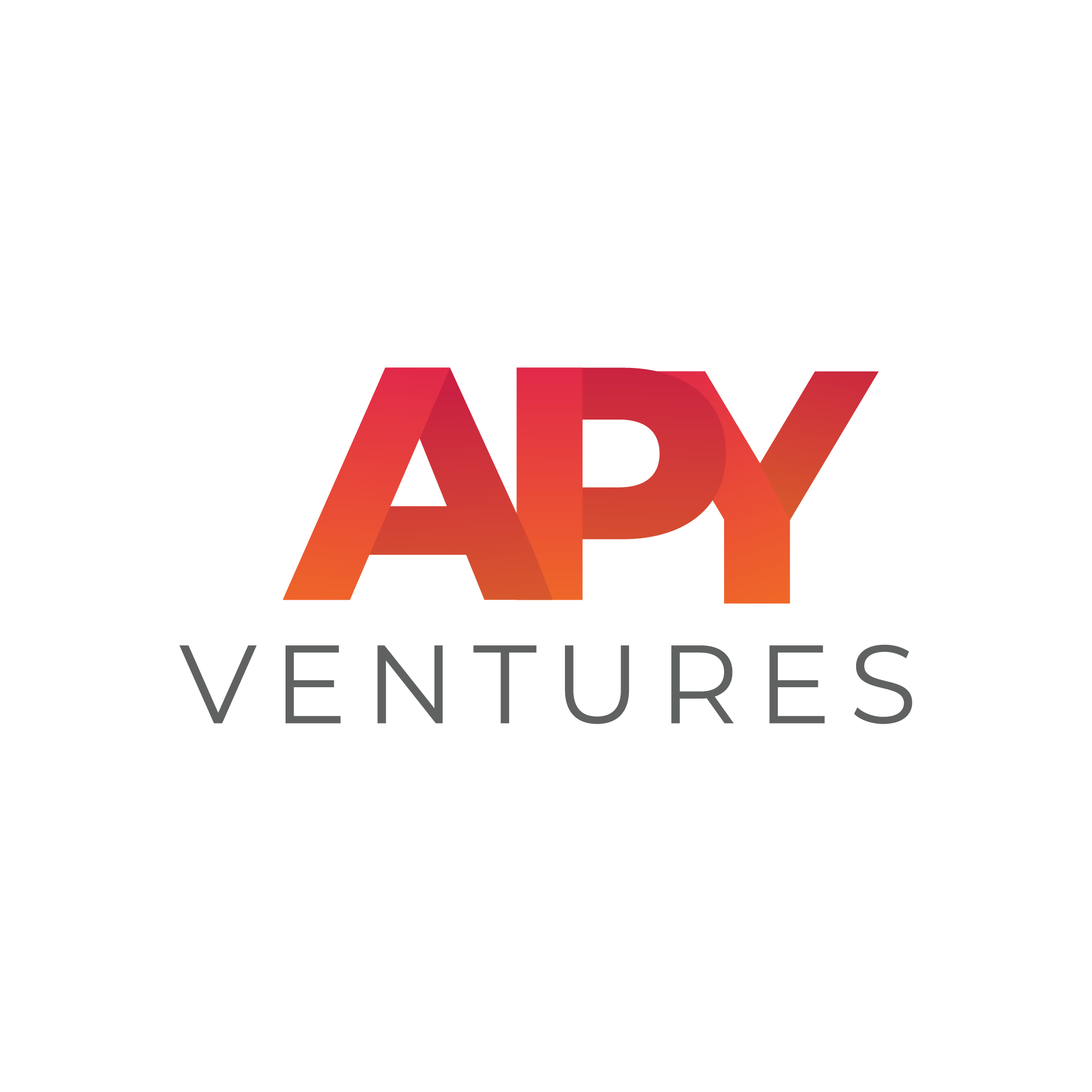 APY Ventures logo