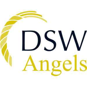 DSW Ventures logo