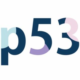 p53 Invest logo