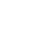 QuantumLight logo