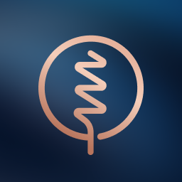 Razor Capital logo