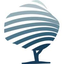 SilverTree Equity logo